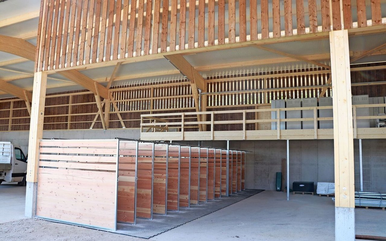 Im Gruppenstall sorgen Fressstände für eine ruhige Futteraufnahme. 