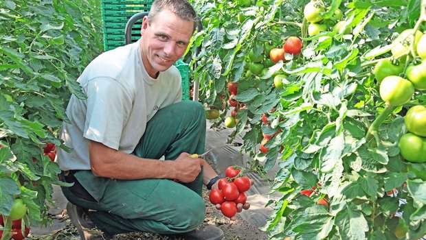 Martin Krucker und seine Frau Petra haben sich einen Helferpool für ihren Gemüsebetrieb aufgebaut.