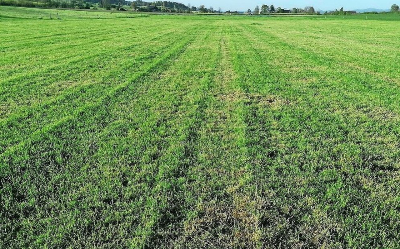 Wellenschnitt wegen zu stark verkürztem Oberlenker beim Trommelmähwerk.