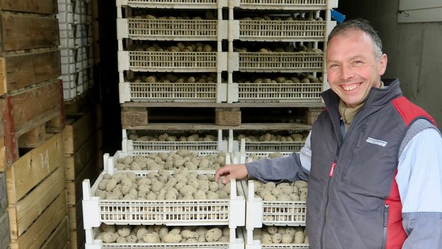 Kartoffelanbau ist für Daniel Peter aus Rickenbach ZH Wissenschaft und Risiko-Business. Denn die Kartoffel verzeiht keine Fehler – macht sich aber auch bezahlt. Bild: Sebastian Hagenbuch