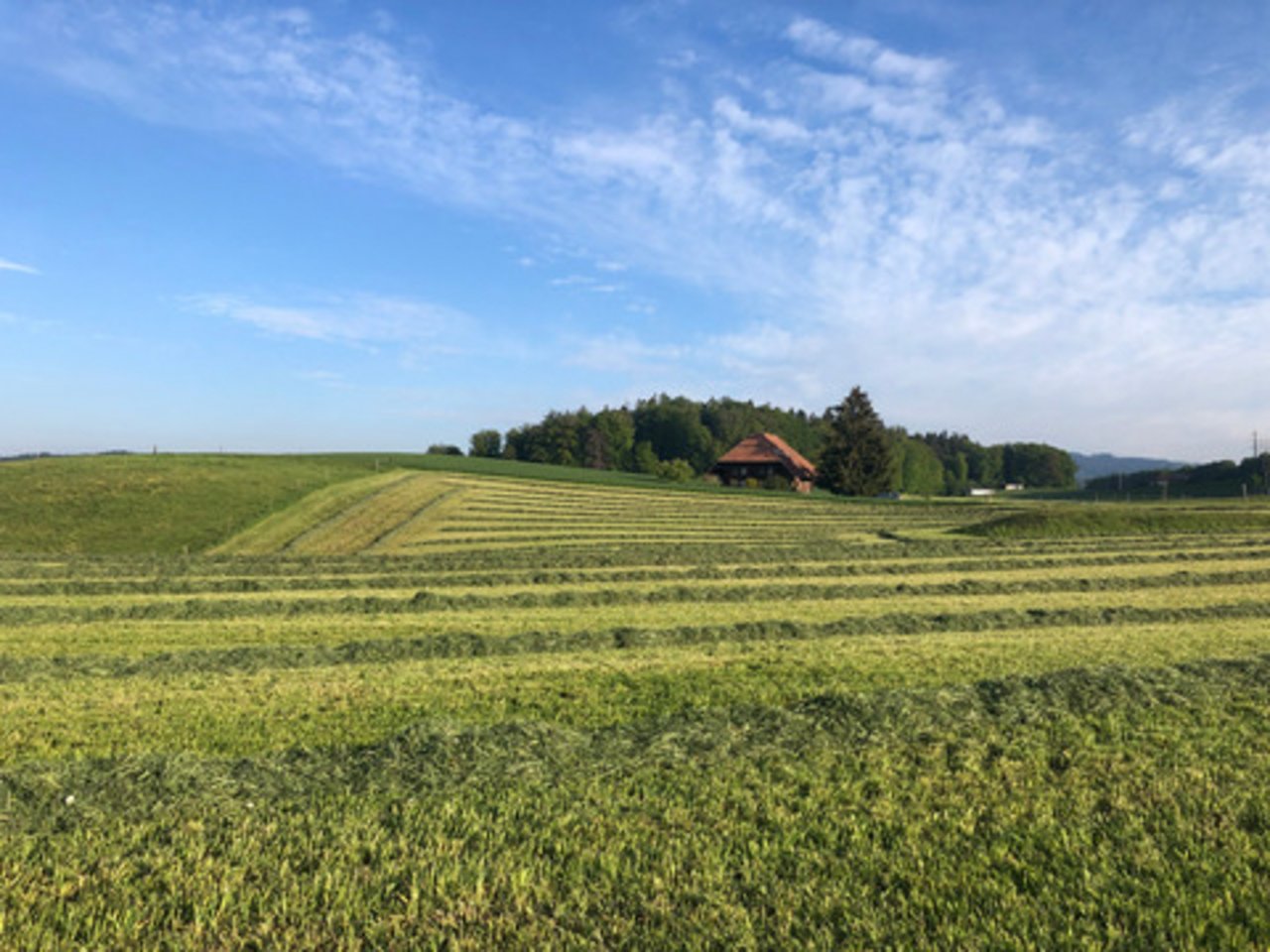 Junge Landwirtinnen und Landwirte engagieren sich, weil ihnen die Zukunft ihres Berufs am Herzen liegt. Bild: Jasmine Baumann