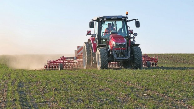 Für eine gute Striegelwirkung ist es wichtig, das Unkraut in einem frühen Stadium zu bekämpfen. 