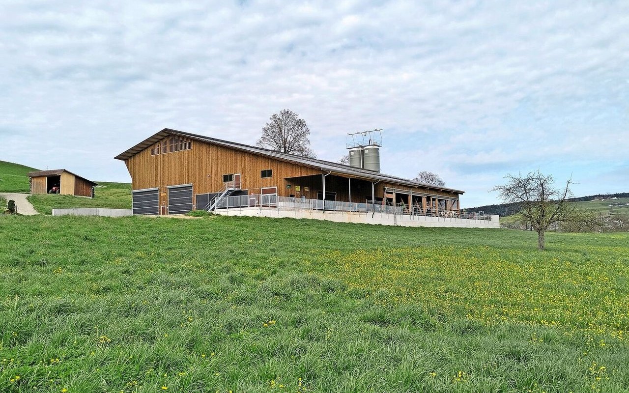 Pius Bucher von der Krieger AG sagt, dass Rindviehställe individuell sein müssten.