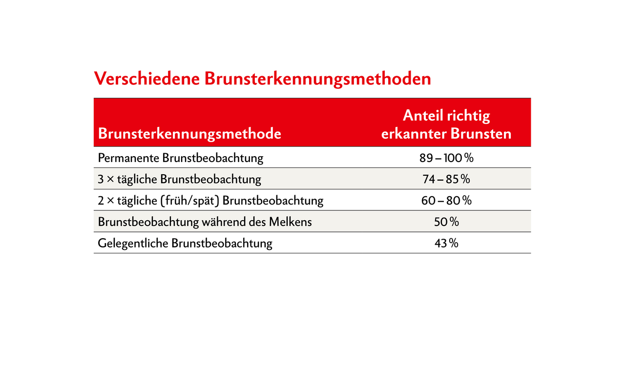 Die Tabelle zeigt auf, dass nur mit einer permanenten Brunstbeobachtung im besten Fall bis 100 Prozent der Brunsten richtig erkannt werden können. Eine ständige Beobachtung ist mit einem digitalen Hilfsmittel möglich. Quelle: Becker, Kanitz, Heuwieser (2005), modifiziert nach Zieger (2008) 
