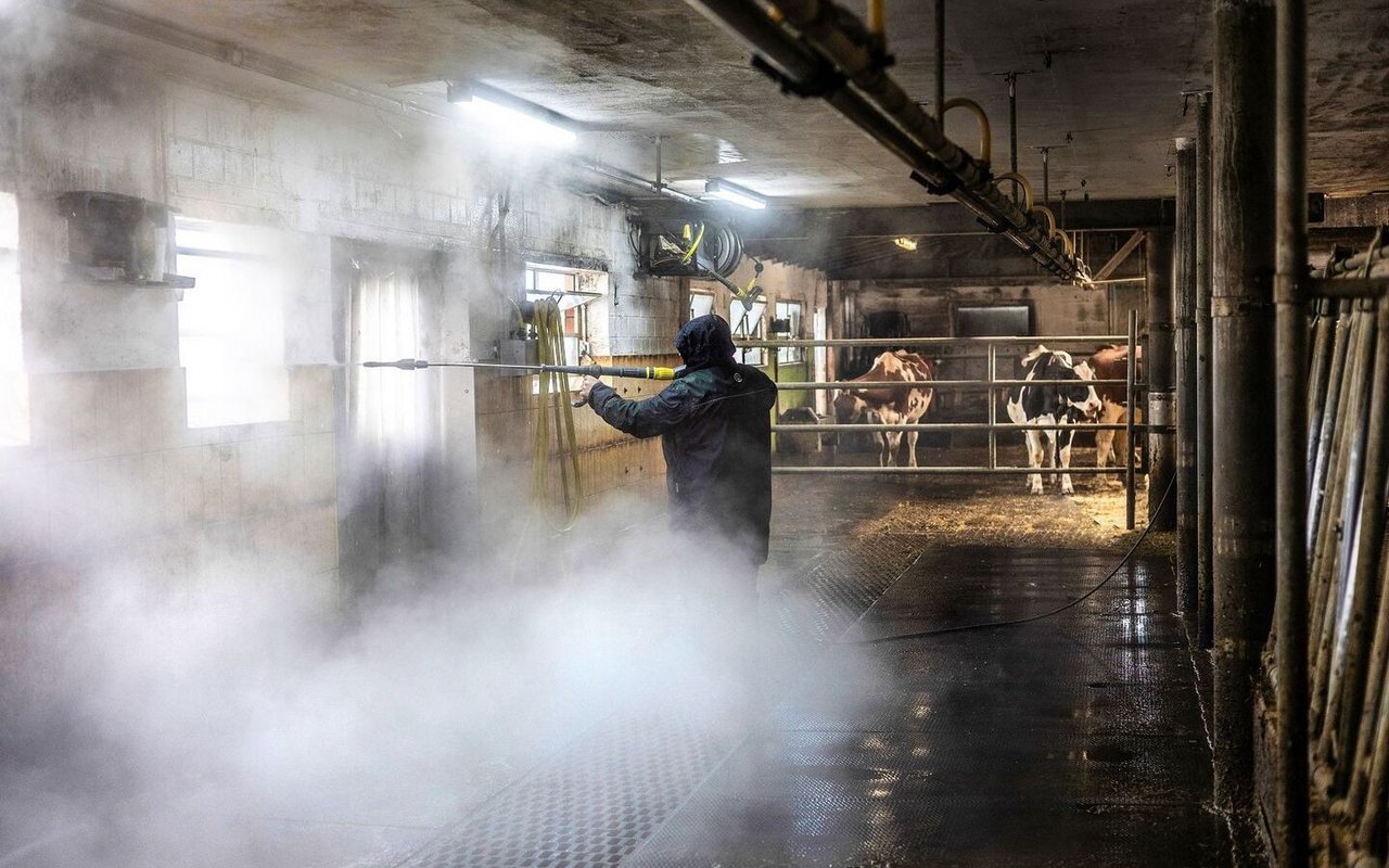Zum Schluss wird es heiss: Martin Abderhalden wäscht gelösten Dreck mit heissem Wasser unter Hochdruck herunter.
