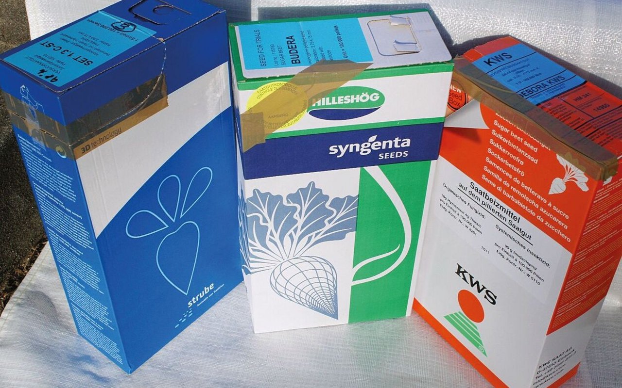 Letztjähriges Zuckerrüben-Saatgut kann problemlos ausgesät werden, falls es trocken und kühl gelagert wird.