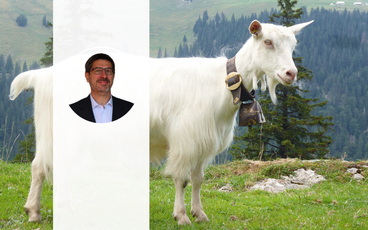 Das Porträt von Thomas Herren steht vor dem Hintergrund einer Appenzellerziege.