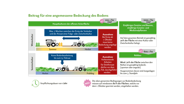 Die Anforderungen an den Beitrag für eine angemessene Bodenbedeckung wurden angepasst. Neu müssen noch mindestens 80 % der Ackerflächen, die vor dem 1. Oktober geerntet werden, bedeckt sein. Dafür wurde der Beitrag von Fr. 250.– auf Fr. 200.– gekürzt.