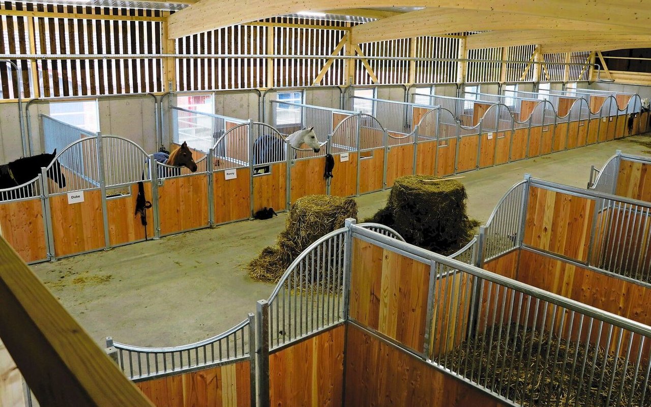 Gut drei Jahre, nachdem die ersten Pläne zu Papier gebracht wurden, ziehen die Pferde etappenweise ein.