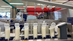 Milchleistungsprüfung bei Suisselab Mehrere Ampullen mit Milchproben stehen auf dem Förderband im Labor von Suisselab.