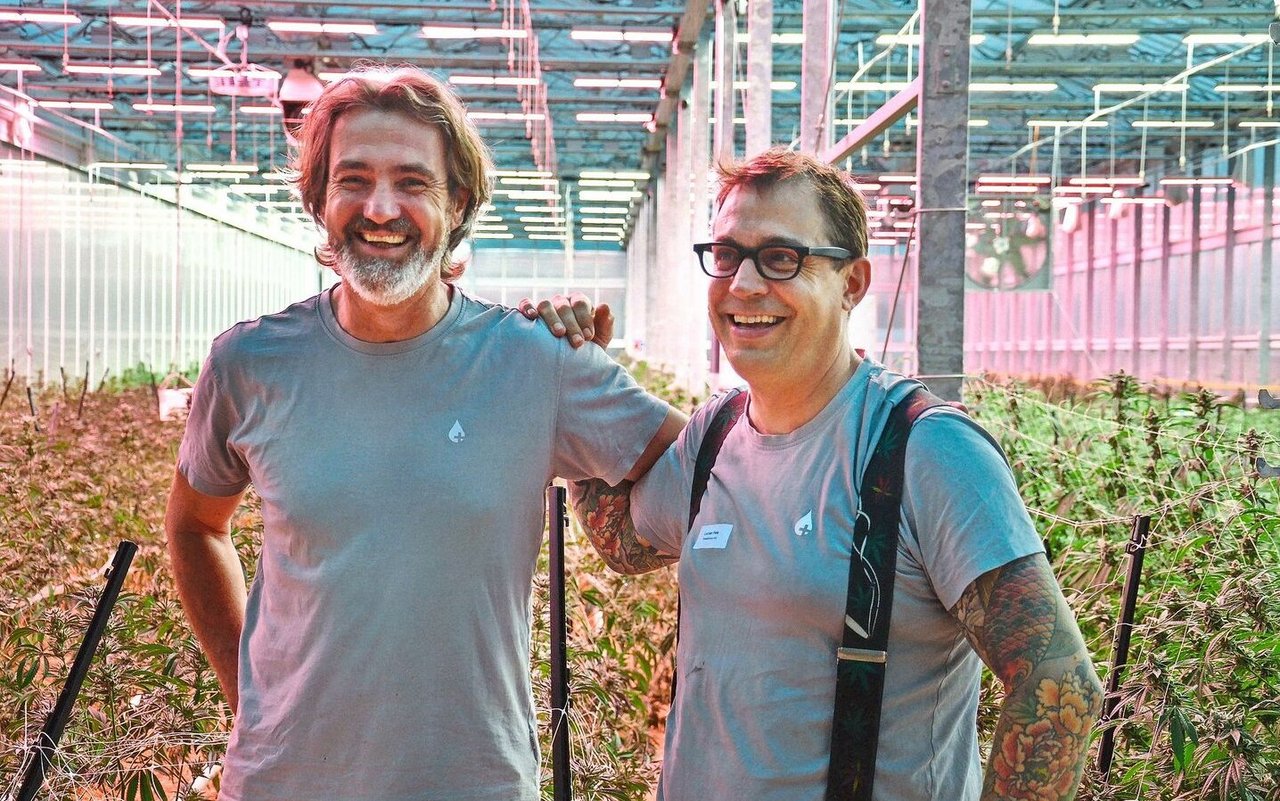 Stefan Strasser (links) und Lucien Pête produzieren Hanf im Gewächshaus.