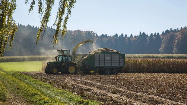 Das Projekt MaisNet möchte die Stickstoffdüngung im Maisanbau nachhaltig optimieren. Von den gewonnenen Erkenntnissen profitiert nicht nur die Landwirtschaft, sondern auch die Umwelt.