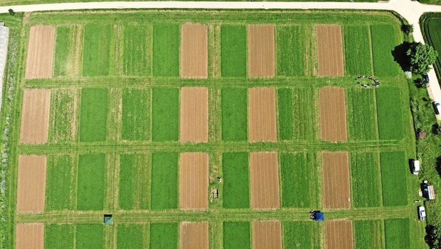 Seit den 1970er-Jahren werden in Therwil BL die Anbausysteme Biologisch-dynamisch (D), Biologisch-organisch (O) und Konventionell (K) im DOK-Versuch miteinander verglichen. 