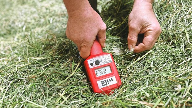 Eine kontrollierte Nachtrocknung auf dem Stock muss gut überwacht werden.