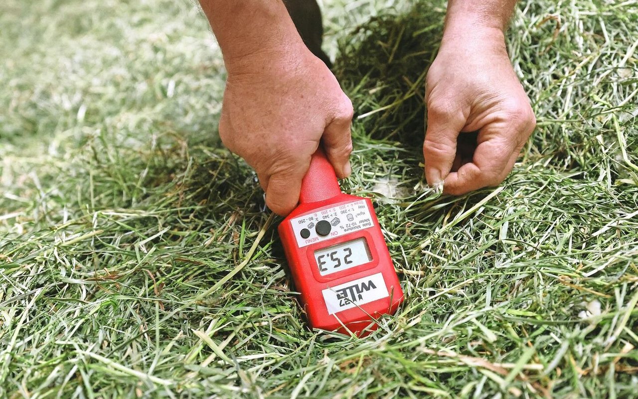 Eine kontrollierte Nachtrocknung auf dem Stock muss gut überwacht werden.