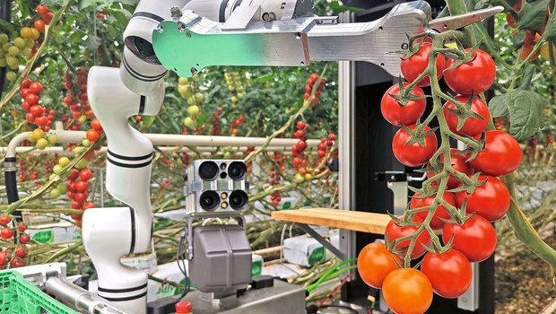 Vielversprechende Pilotphase: Der Pflückroboter von Floating Robotics in Aktion. 