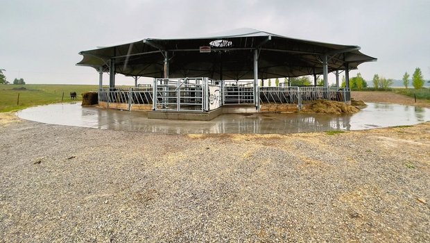Was aussieht wie ein Zirkuszelt ohne Seitenwände ist ein Roundhouse-Stall. Das Dach mit 30 Meter Durchmesser bietet den Tieren Schutz vor Regen, gleichzeitig aber auch frische Luft und Komfort.