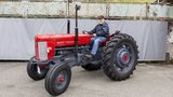 Ernst Reich mit seinem Massey Ferguson 65.  (Bild: «die grüne» / Gian Vaitl)