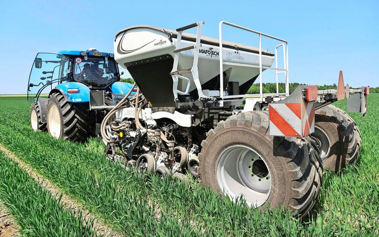 Jeweils zwei Reihen Soja drillte Reto Minder zwischen zwei Weizenreihen ein. Die Schächte für Soja blieben durch die vorgängige Herbizidbehandlung unkrautfrei.