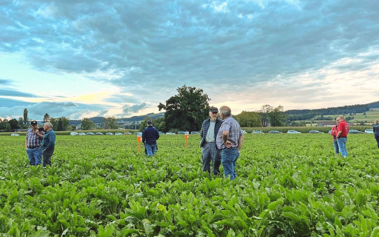 An der Flurbegehung des Feldversuches in Münsingen wurde rege diskutiert. 