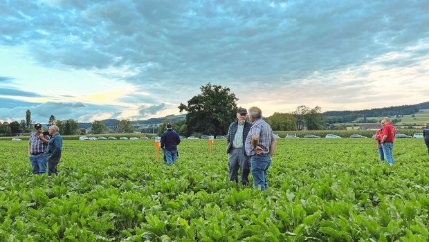 An der Flurbegehung des Feldversuches in Münsingen wurde rege diskutiert. 