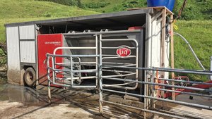 Mobiler Melkroboter auf der Alp Der lely-Melkroboter steht auf dem befestigten Vorplatz.