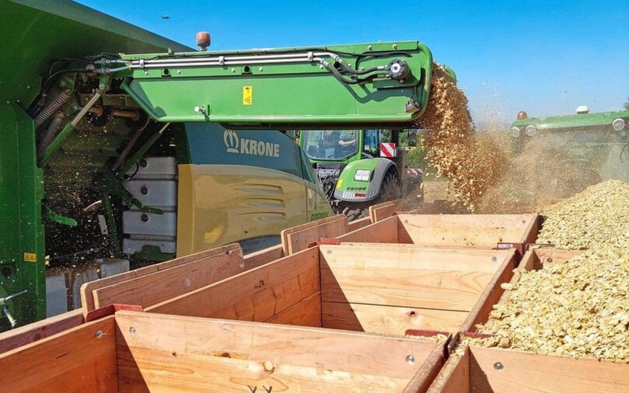 Die Strohpellets können am Feldrand in Paloxen oder direkt in einen Wagen abgefüllt und abgeführt werden. 