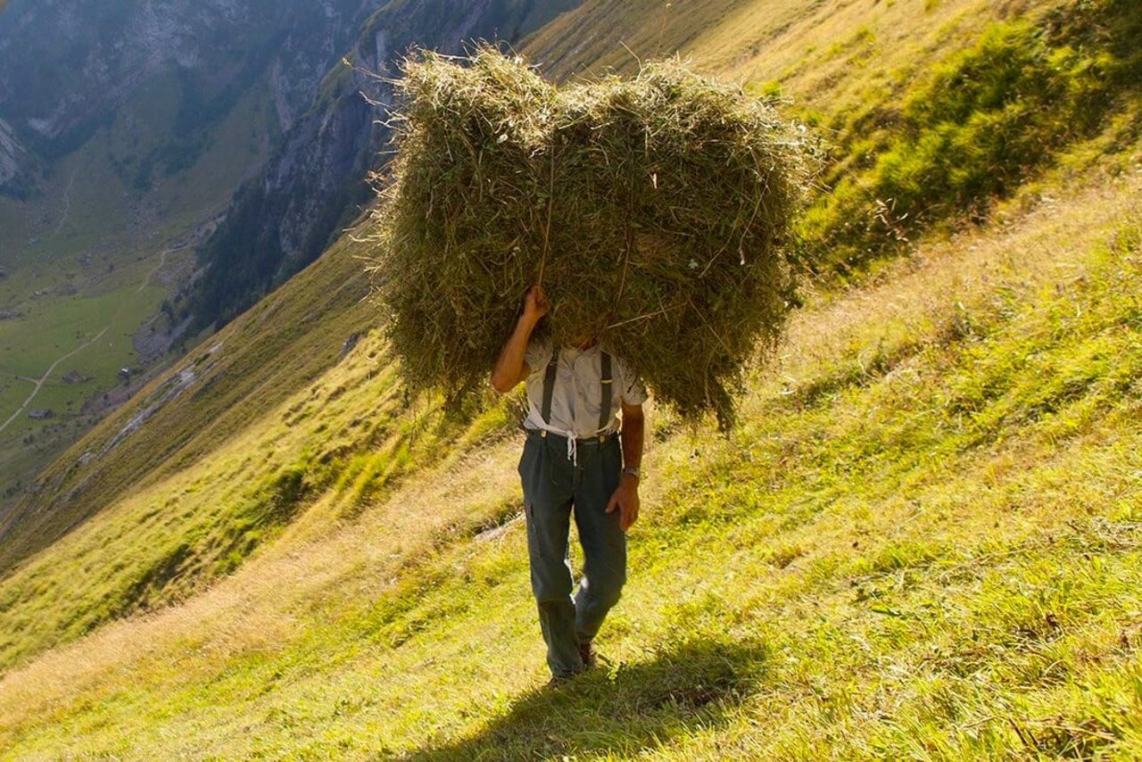 «Alpzyzt – Keine Ferien, aber schöner», Dokumentarfilm von Thomas Rickenmann. Bild: SRF