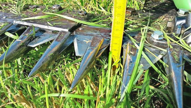 Gerade mit dem Motormäher wird häufig zu tief gemäht. Auch damit sollte die optimale Schnitthöhe von 8 cm eingehalten werden. Dafür gibt es Hochschnittkufen.