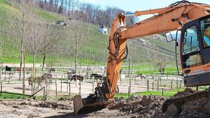 Nur landwirtschaftliche Gewerbe ab 1 SAK dürfen neue Bauten und Anlagen für die Pferdehaltung erstellen.