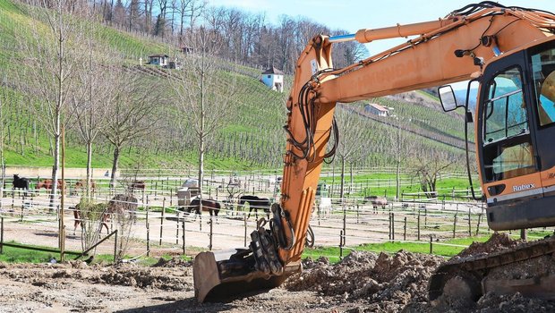 Nur landwirtschaftliche Gewerbe ab 1 SAK dürfen neue Bauten und Anlagen für die Pferdehaltung erstellen.