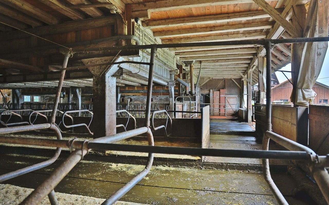 Der bestehende Boxenlaufstall wird weiter genutzt.