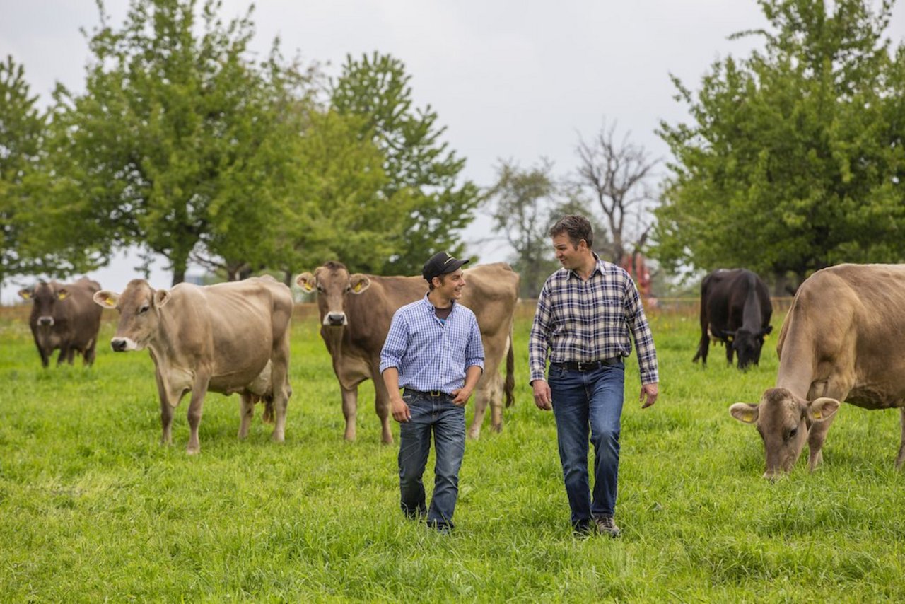 Young Farmer Sepp Infanger hat seinen Lehrmeister Roger Frei ein Jahr nach Lehrabschluss getroffen auf dem Betrieb in Menzingen ZG. Bild: Pia Neuenschwander