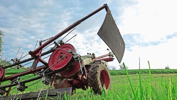 Verschiedene Systeme können bei der Milch erfolgreich sein. Die grössten Unterschiede gibt es bei der Position Maschinenkosten.