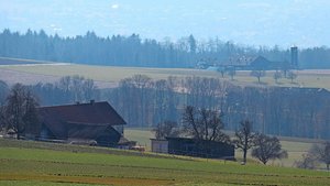 Wer ein landwirtschaftliches Gewerbe pachtet, braucht für den Pachtzins eine Bewilligung des Kantons.