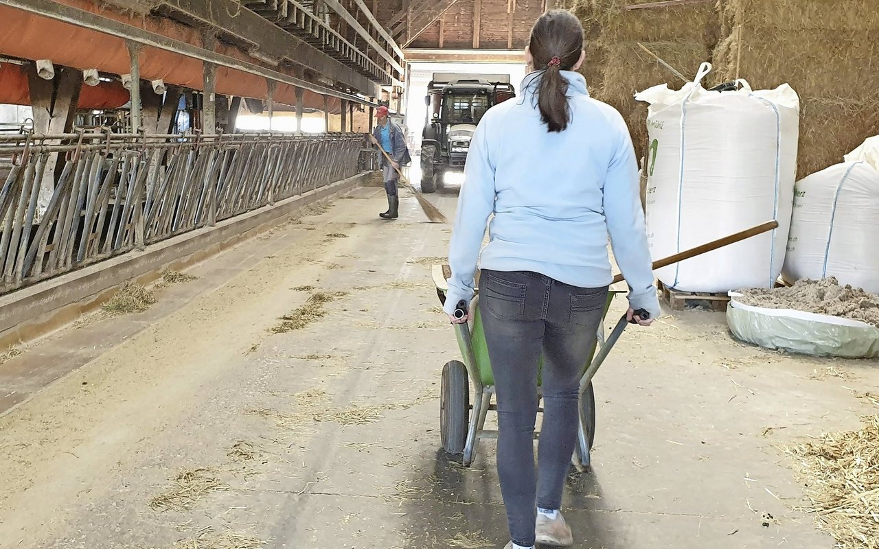 Mit dem bevorstehenden Winter verlagert sich ein Grossteil der Arbeit in den Stall.