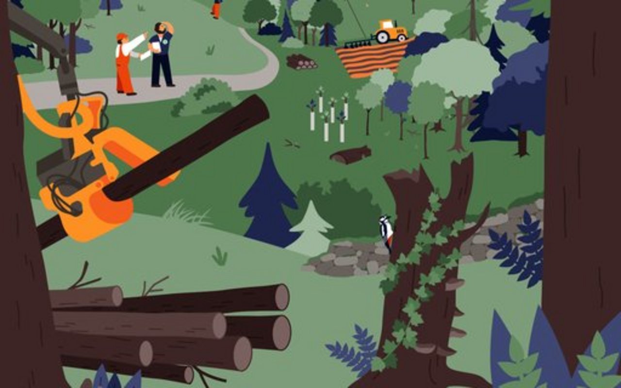 Vielfältige Interessen im Wald – von Freizeit über Wirtschaft bis Naturschutz. 