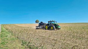 Direktsaat nach chemischer Behandlung Auf dieser Parzelle wurde die Zwischenkultur mit der Direktsaatmaschine nach einer chemischen Behandlung wegen Wurzelunkräutern ausgesät.
