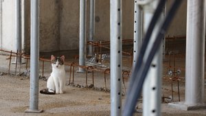 Was braucht es, damit das Baugesuch erfolgreich behandelt wird?