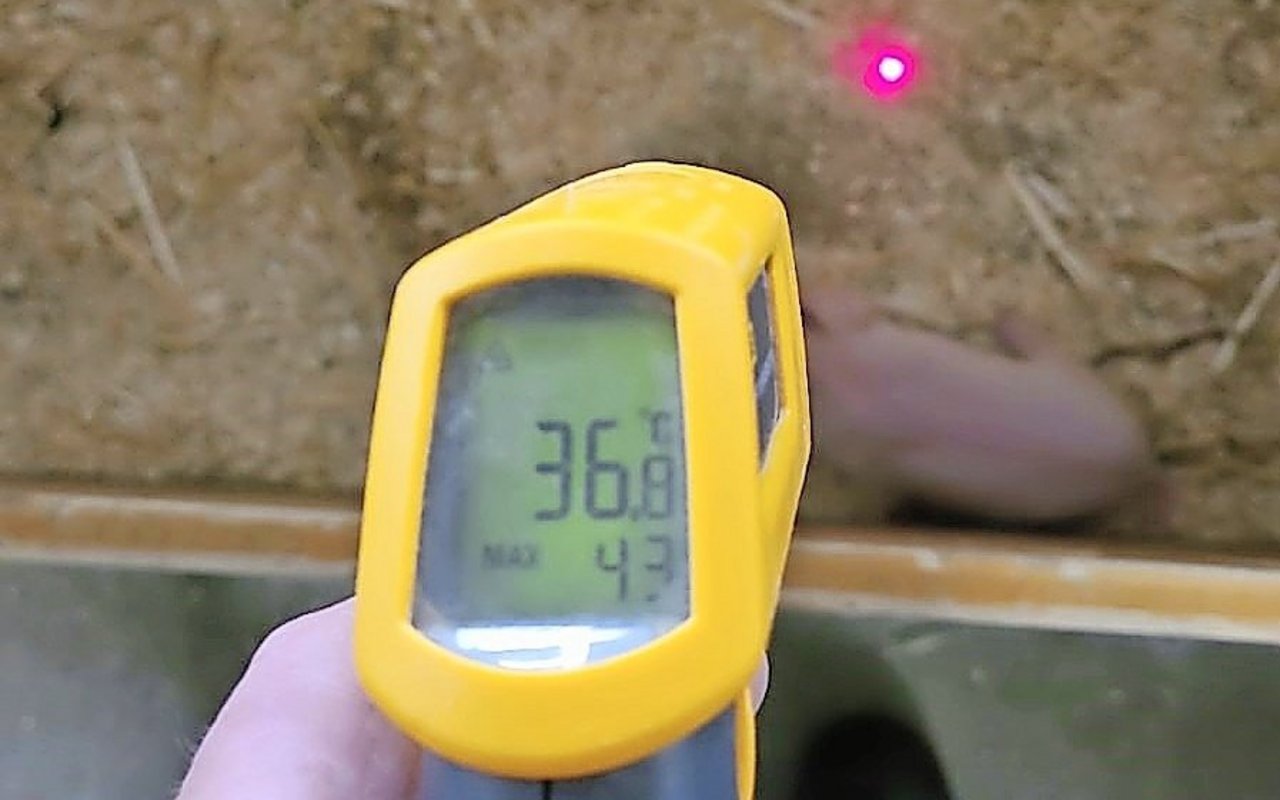 Das richtige System für den eigenen Betrieb, mit kontinuierlicher Überprüfung der Einstellungen, hilft Kosten im Griff zu behalten.