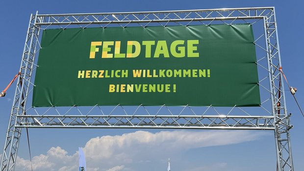 Feldtage Kölliken 2023  (Bild: Sandra Donadei / «die grüne»)