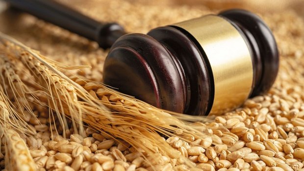 Vorbeugen ist besser: Bei Rechtsstreitigkeiten unterstützen die ExpertInnen der Rechtsschutzversicherung und können das finanzielle Risiko verringern.