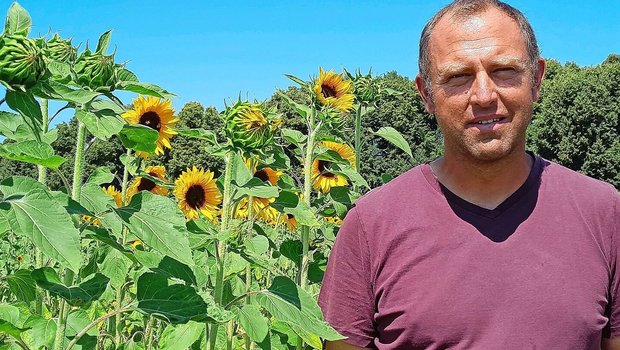 Thomas Kyburz ist seit 2006 Pächter des Bäumlihofs. Schnittblumen sind sein Hauptbetriebszweig.