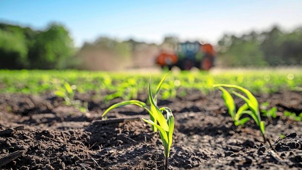 Die Parlamentarische Initiative von Philipp Bregy will, dass EU-Bestimmungen zu Pflanzenschutzmitteln in der Schweiz zur Anwendung kommen.