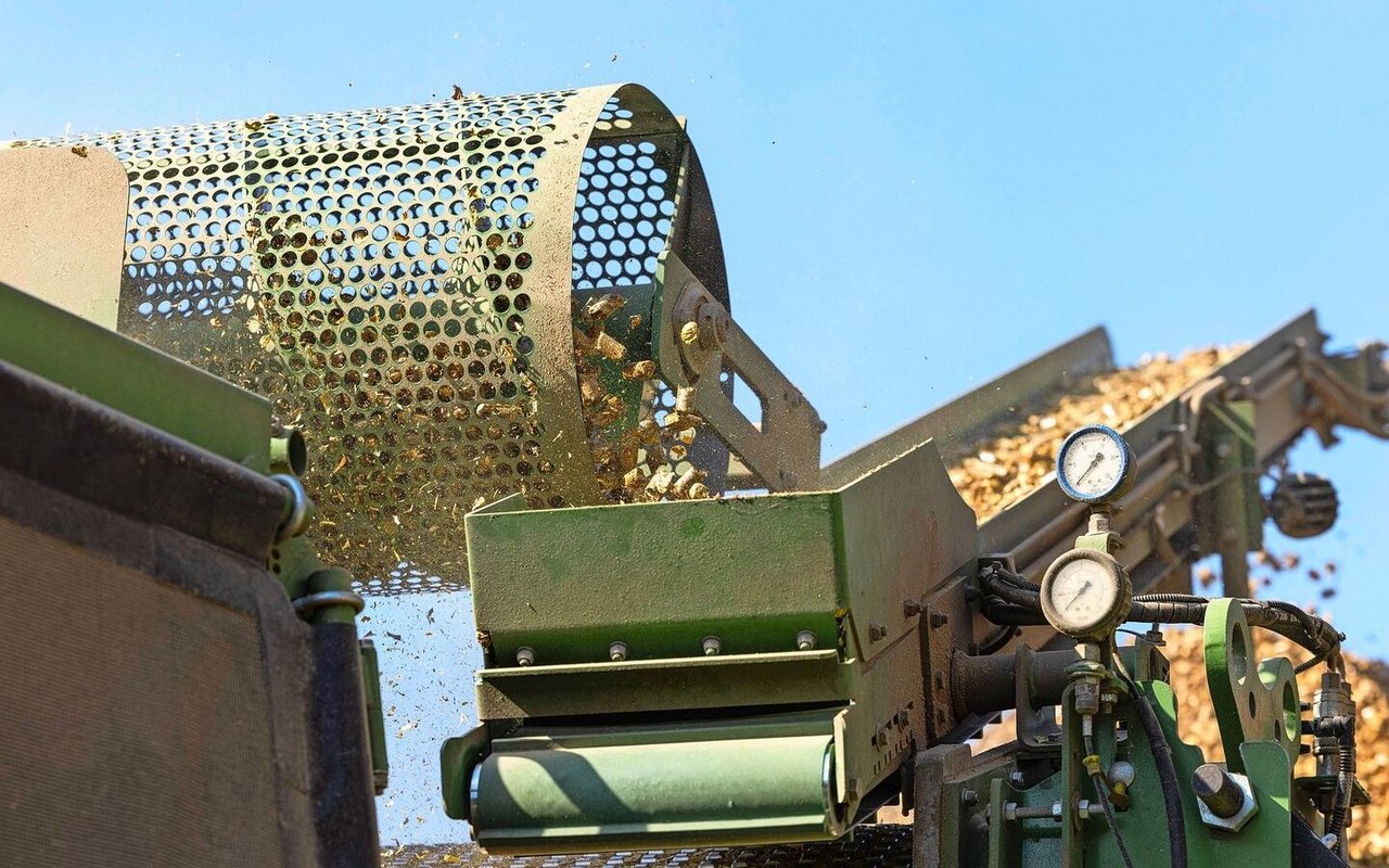 In den Matrizen werden die Pellets wegen des hohen Drucks rund 70 Grad heiss. Dank der starken Erhitzung bei der Herstellung sind die Pellets nahezu staub- und keimfrei. Über das Sieb und Förderband kühlen die Pellets erstmals ab.