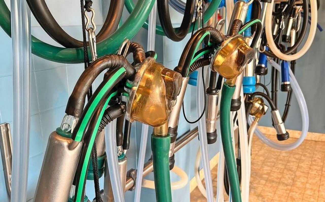 Melkmaschinen-Agregate sind an einer Wand aufgehängt.