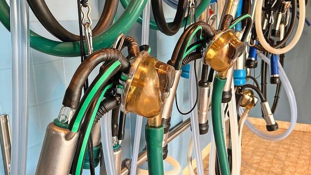 Melkmaschinen-Agregate sind an einer Wand aufgehängt.