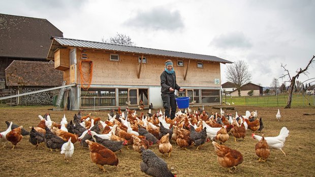 Eier, Emotionen & Engagement