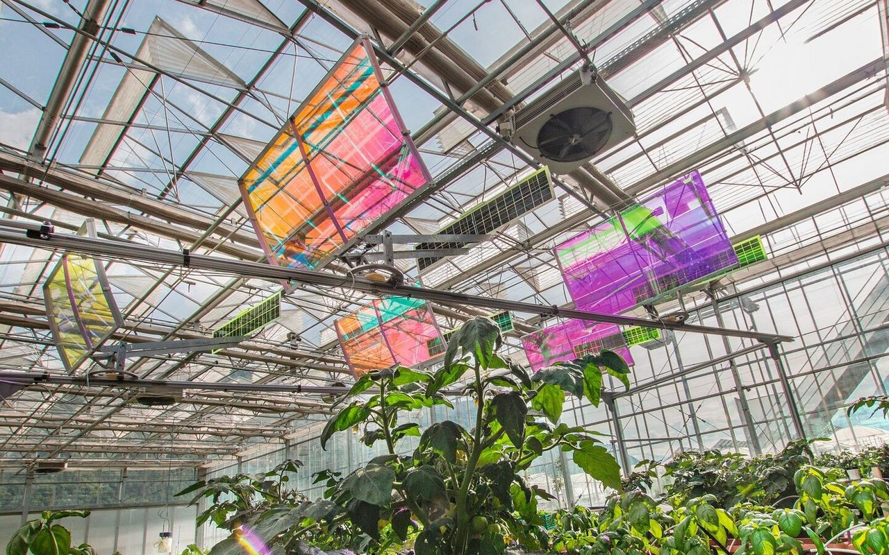 Auf dem Gelände von Agroscope in Conthey VS wird ein System getestet, welches  das gesamte Lichtspektrum nutzt.