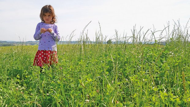 Wiesenmilch hat dank der Wiesenfutter-betonten Fütterung einen höheren Gehalt an ernährungsphysiologisch wertvollen Fettsäuren. Bild: Beat Reidy